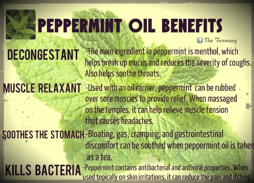 Aceite Esencial de Menta Piperita 15 ml miniatura 2