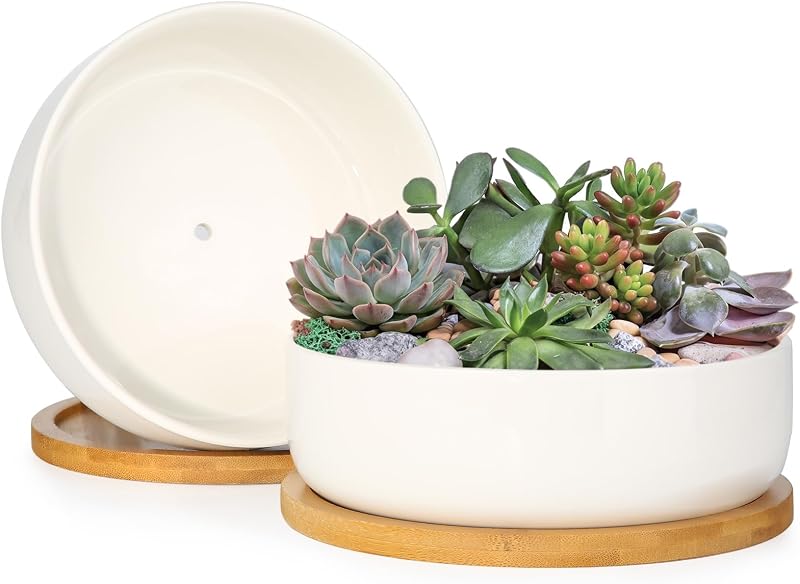 ZOUTOG Paquete de 2 macetas suculentas de cerámica de 6 pulgadas, maceteros blancos con bandeja de drenaje | Maceta redonda ideal para alféizar de ventana, dormitorio y sala de estar, ideal para suculentas, cactus y pequeñas plantas verdes de interior