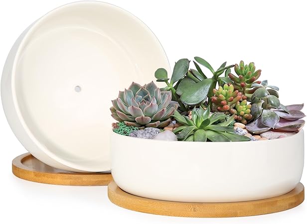 ZOUTOG Succulent Pots,6 Inch Succulent Planters with Drainage and Tray,White