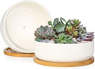 ZOUTOG Succulent Pots,6 Inch Succulent Planters with Drainage and Tray,W...