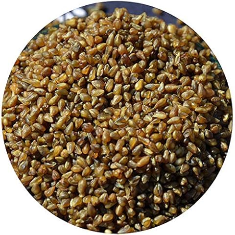 GLORIOUS INHERITING / BAIGUZHENZHEN Retailed Natural and Fresh Tartary Buckwheat of General Size with Net Bag of 1000 grams Cover