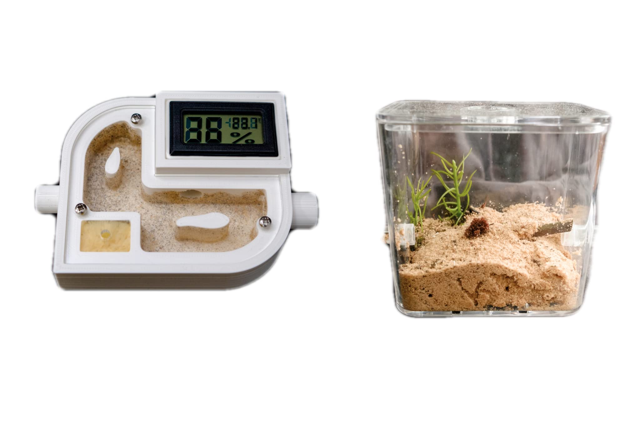 Ant Farm Kit Hybrid Nest with Sand Bed and Small Arena Complete Beginner Ant Setup Size A7 Plus