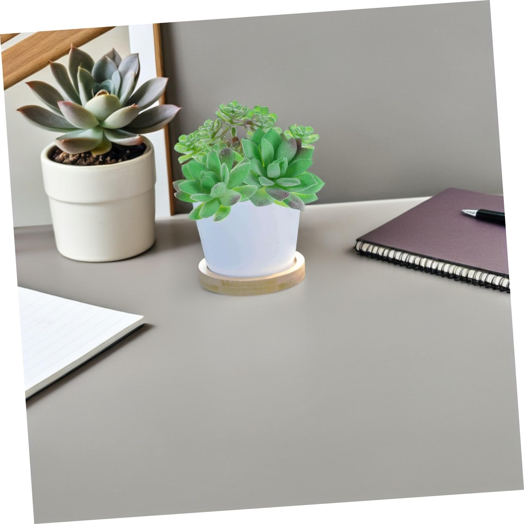 15 Stück Teiliges Ungetopfte Künstliche Mini Sukkulenten Realistisch Gestaltete Kleine Grüne Pflanzen Platzsparend Pflegeleicht für DIY Projekte Hochzeits und Bürodekoration