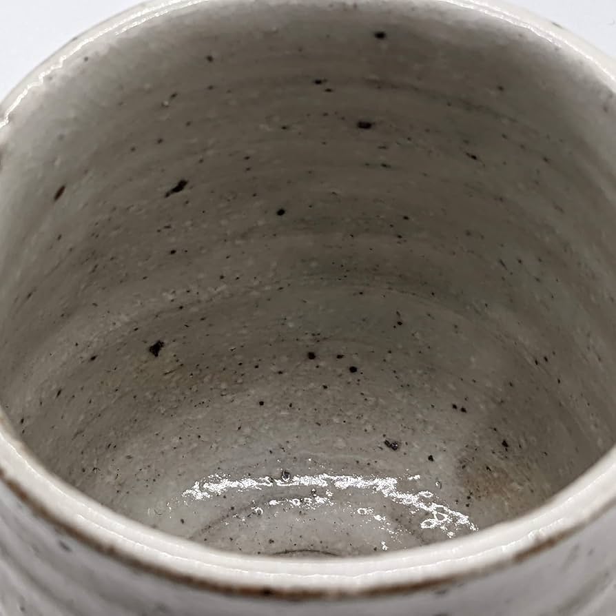 Amazon｜うつわ魯庵 美濃焼 山王窯 大野繁保 湯呑み 大 鉄粉引