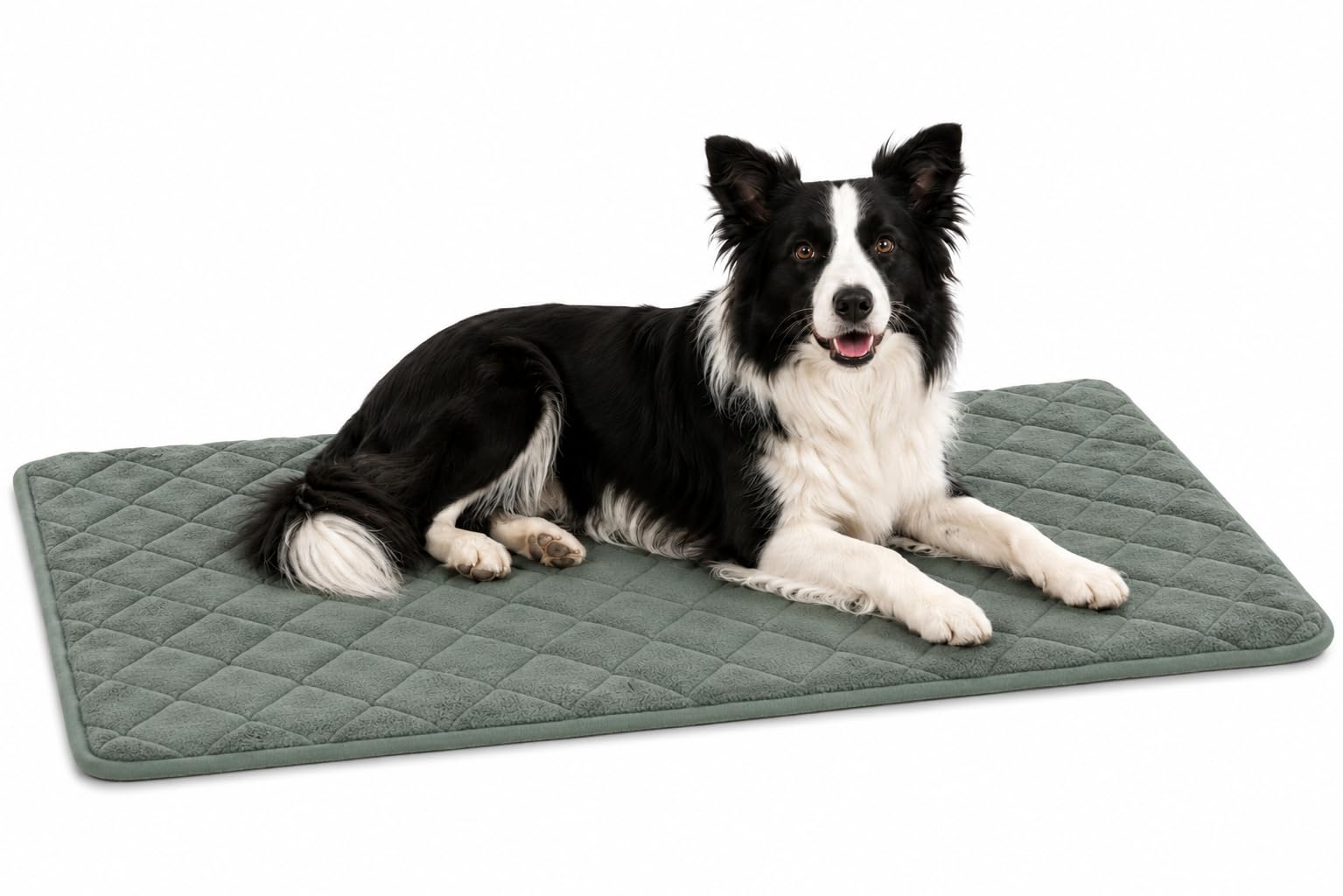 cuccia cane - cuscino ortopedico Weimar verde - cuscino ortopedico lavabile - 100,5x63x2cm