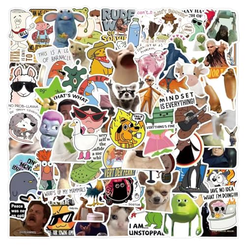 110 PCS Funny Stickers Prank Meme Stickers Pack Vinyl Waterproof Cool Decals for Laptop Water Bottles Hard Hats Scrapbooking Decals for Teens Adults