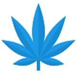 Strainalyzer - Research cannabis strains completely offline.