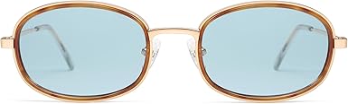 Retro Oval Sunglasses for Women Men Trendy Large Round Y2k Sunnies AP3681