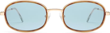 Retro Oval Sunglasses for Women Men Trendy Large Round Y2k Sunnies AP3681