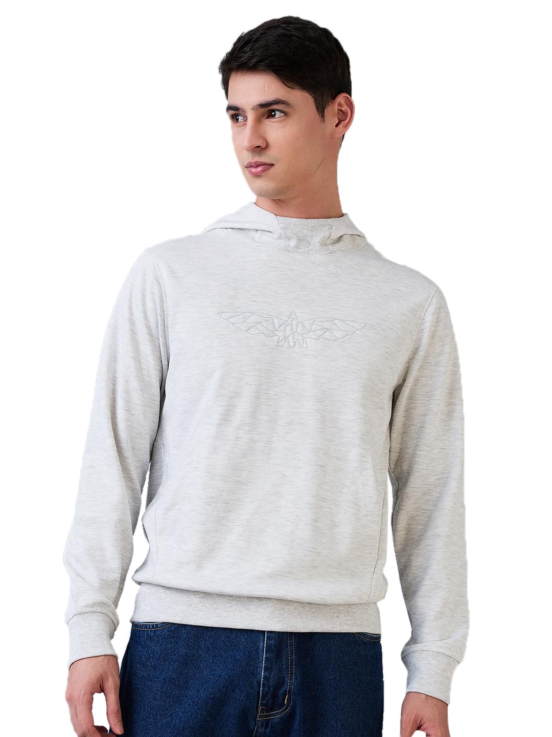 park avenue Men Slim Fit Solid Pattern Cotton Polyester Blend Full Sleeve Hooded Casual Sweatshirt Grey-picture-56
