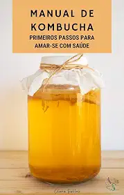Manual da Kombucha: O que é, como cultivar e consumir, cuidados e receitas