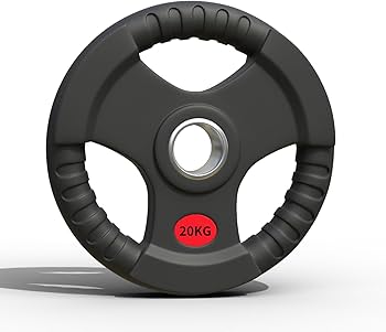 Amazon.co.jp: □大手24時間ジムも導入□ラバープレート 20kg1枚/2枚/4