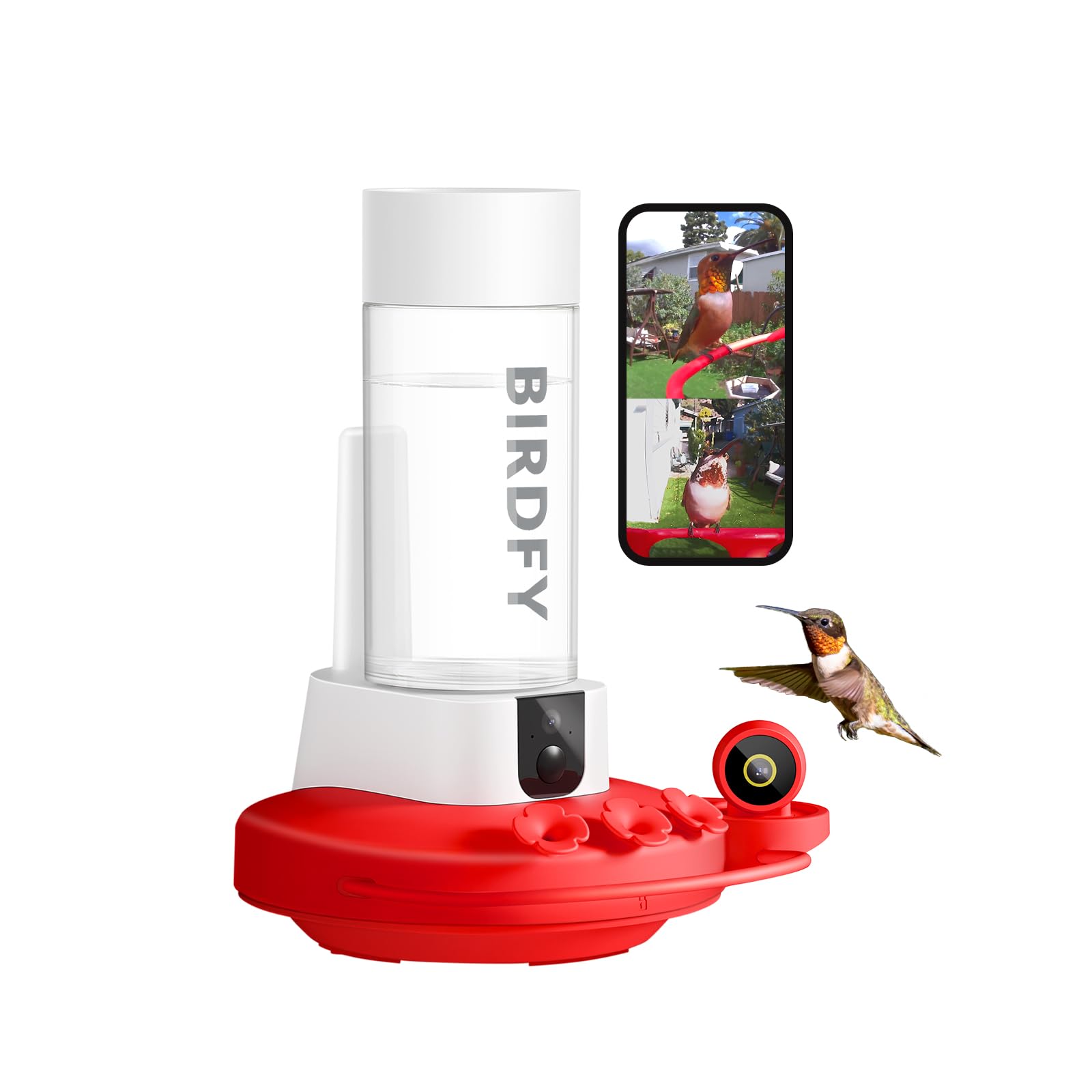 https://m.media-amazon.com/images/I/61wLa6tUOlL.jpg