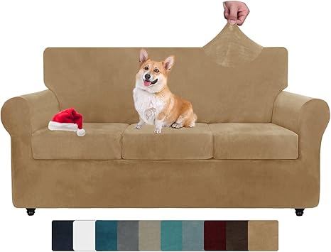 velvet couch with pets