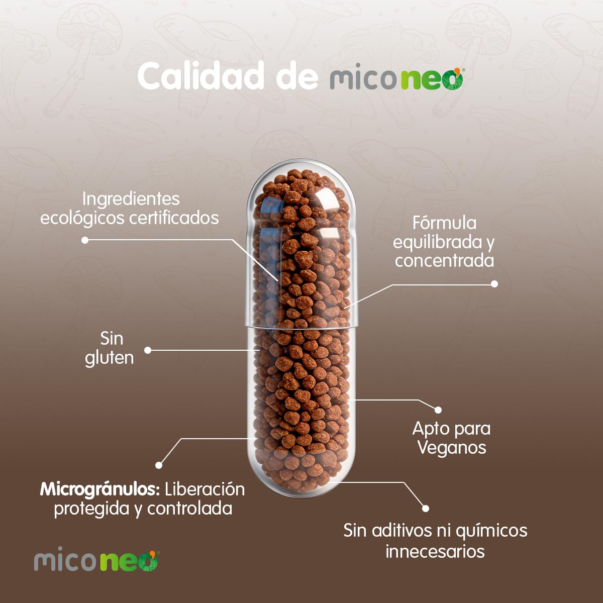 MICO NEO | NGF | 60 Cápsulas | Favorece el Rendimiento Cognitivo | Con Bacopa, Melena de león, Reishi, Cordyceps y Camu-Camu | Hongos de Agricultura Ecológica