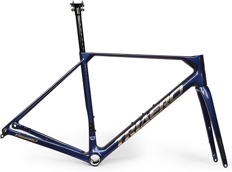 ICAN Flyee Carbon Disc Road Bike Frameset UCI T47 BB and UDH Hanger