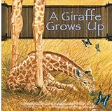 A Giraffe Grows Up (Wild Animals)