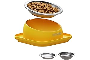 Tilted Cat Food Bowls: The Perfect Solution for Cats with Whiskers
