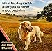 VICTOR Super Premium Dog Food – Grain Free Yukon River Canine – Supports Immune & Digestive Health for Dogs of All Life Stages – High Protein Dry Dog Food for All Normally Active Dogs, 30 lb