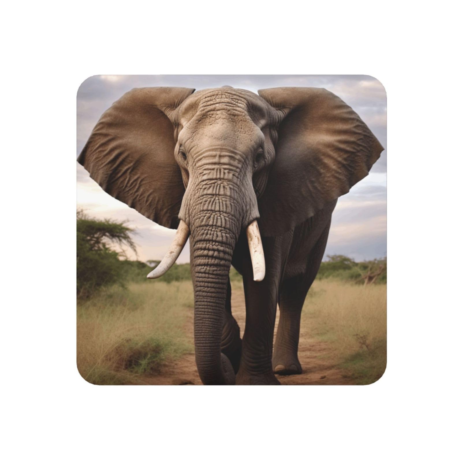 Elephant Animal Fridge Magnets Cute Strong Refrigerator Magnets Fun Magnet for Locker Office Whiteboard Decor, Door Magnets Decorative Magnetic Stickers for Home Decor