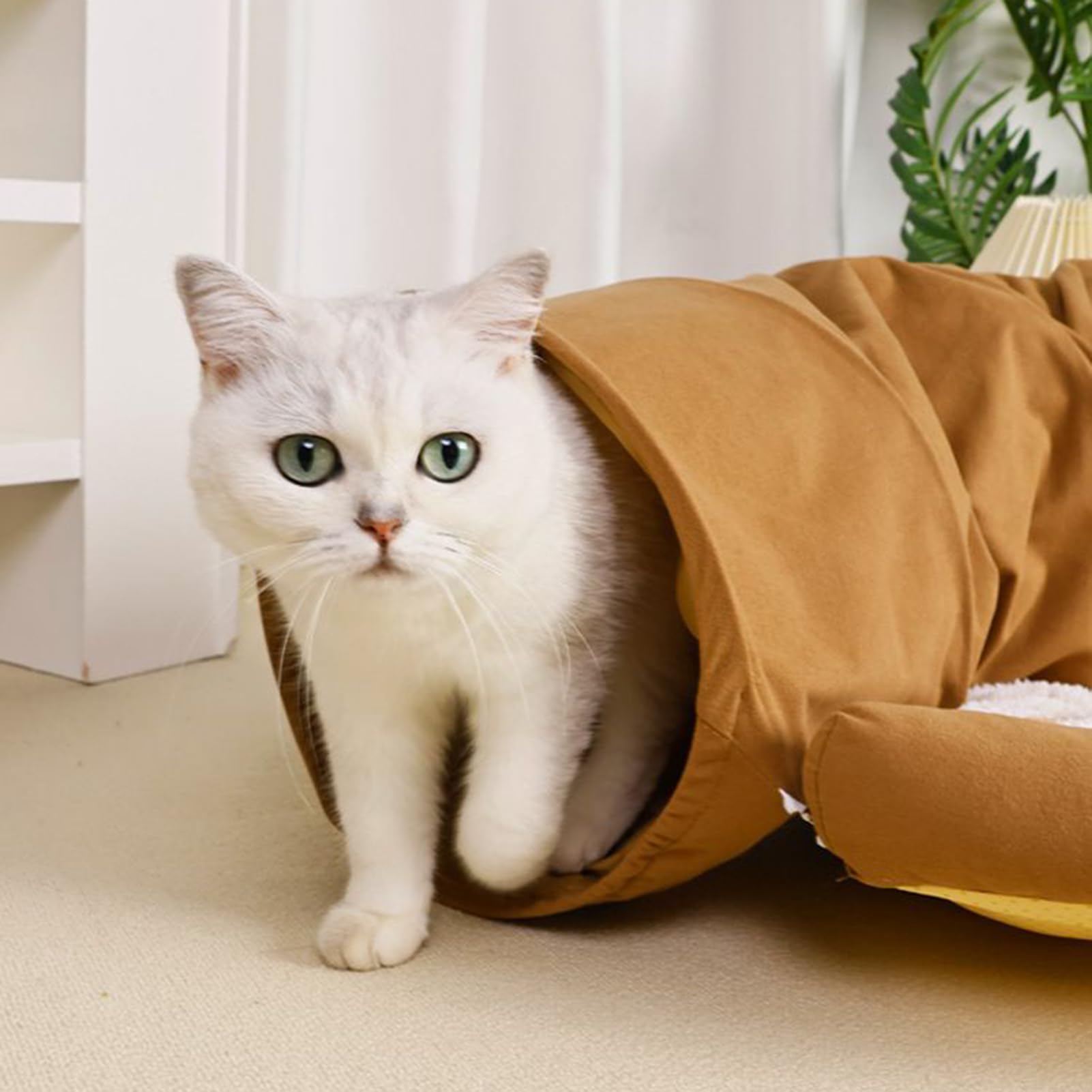 Tunnel pour Chat Tunnel Grotte de Détachable Lavable Épaissi | Lit Chat Hiver Chaud Favorise l'Exercice et Garde le Divertissement pour Chaton d'Intérieur
