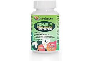 Organic Peace Lily Superfood - Enhance Your Zen Oasis with Lush Foliage