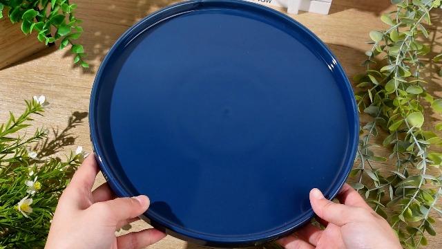 Amazon.com : Sunnychicc 2 Pcs 10 Inch Ceramic Plant Saucer Outdoor