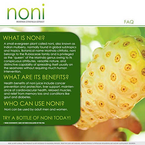 VH Nutrition NONI Capsules - Image 5