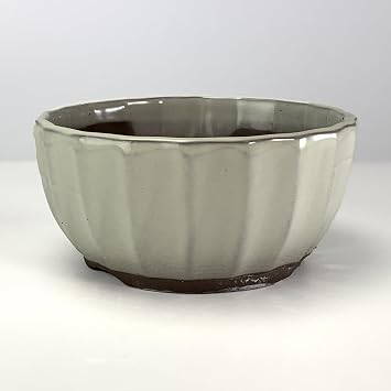 Bonsai Bonsai Pot, Setoyaki Chrysanthemum, No. 5, Cream, Width 5.9 x Height 2.8 inches 15 x 7 cm, Flowerpot, Wildflower Pot, Ceramic Pot, Bonsai, Moss Bonsai, Decorative Plants, Succulents