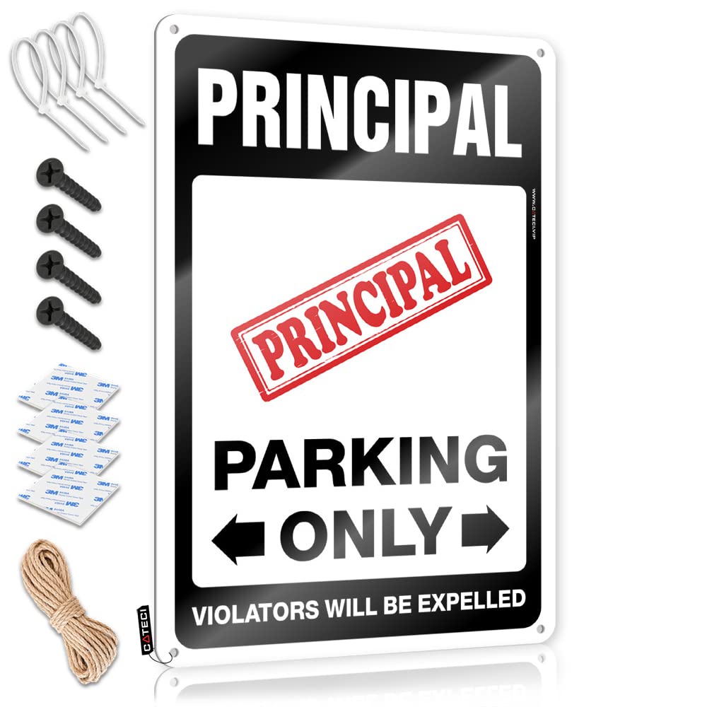 Fzfn Colour Matal Sign Custom Waterproof Artwork, Humor Retro Print For Cafe Pub Days | Stuff For Teens Pre-Drilled Custom Principal Parking Only(30X40cm)