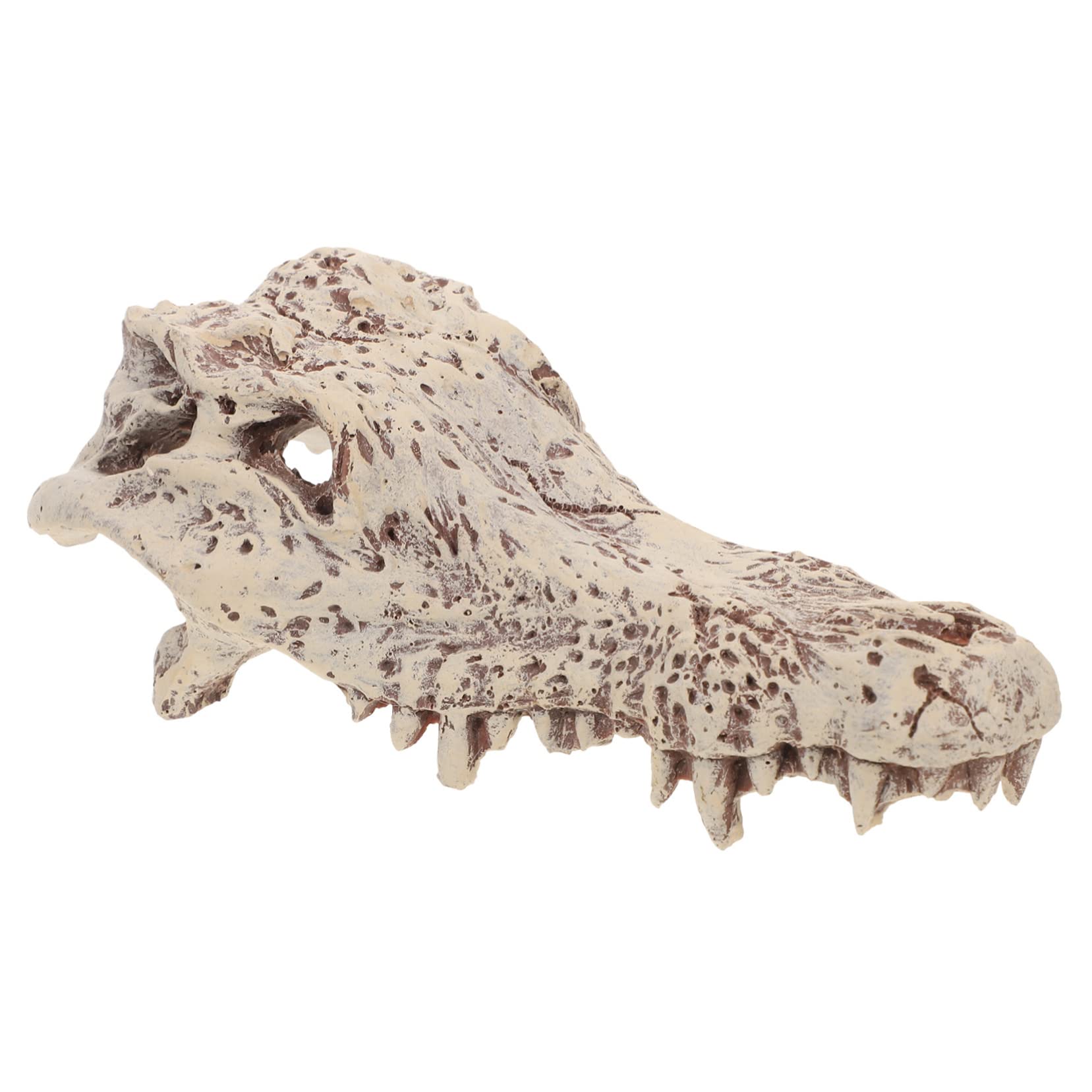Décoration D’Aquarium Crâne en Résine Blanc pour Reptiles et Tortues | Halloween, Cachette et Escalade, Aspect pour Terrarium, Modèle Unique au Rendu Vivant