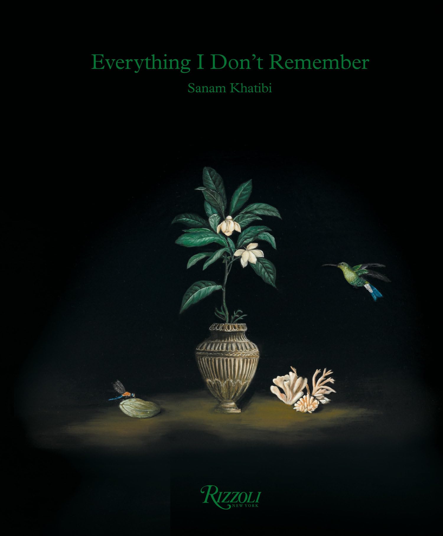 Sanam Khatibi: Everything I Dont Remember