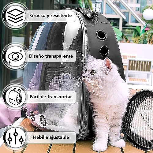 Mascotas, Pet Products Imagen adicional