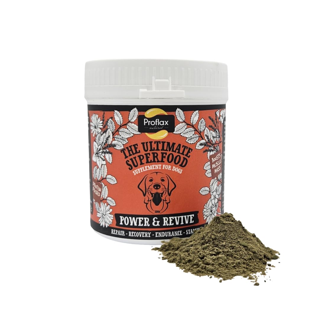 Proflax Power & Revive - Muscle Support & Recovery Powder for Dogs – High Protein Stamina Supplement for Active & Working Dogs
