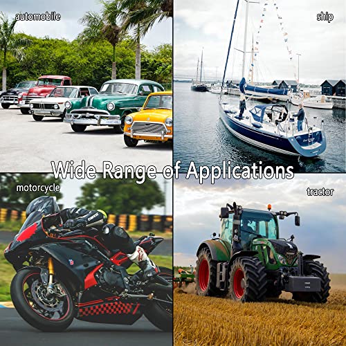 2 Paia,Connettori Terminali Batteria