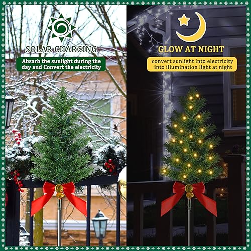 Review de Árboles de Navidad para exteriores los mejores 5. 9 Imagen adicional
