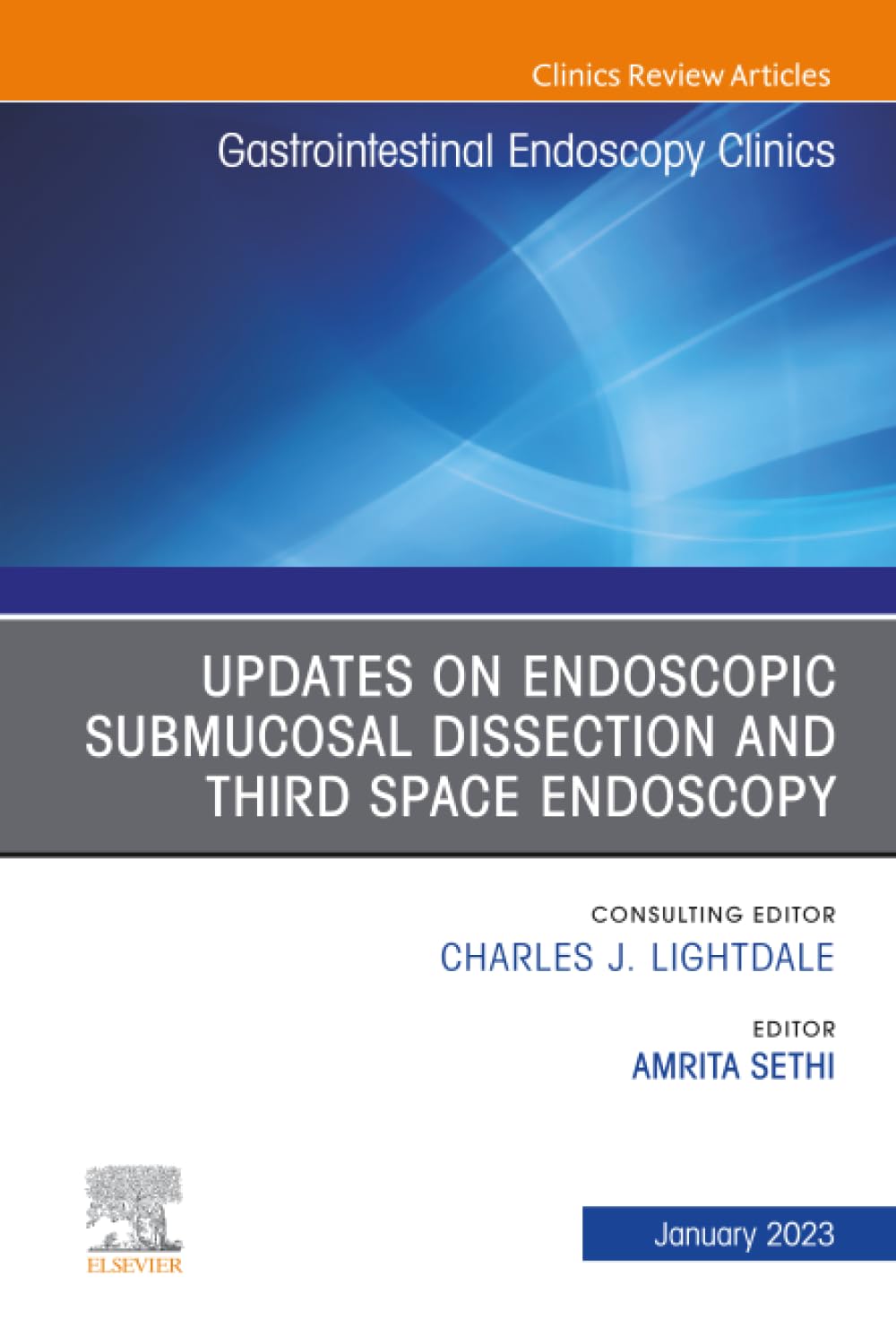 Submucosal and Third Space Endoscopy, An Issue of Gastrointestinal Endoscopy Clinics (The Clinics: Internal Medicine, Volume 33-1)