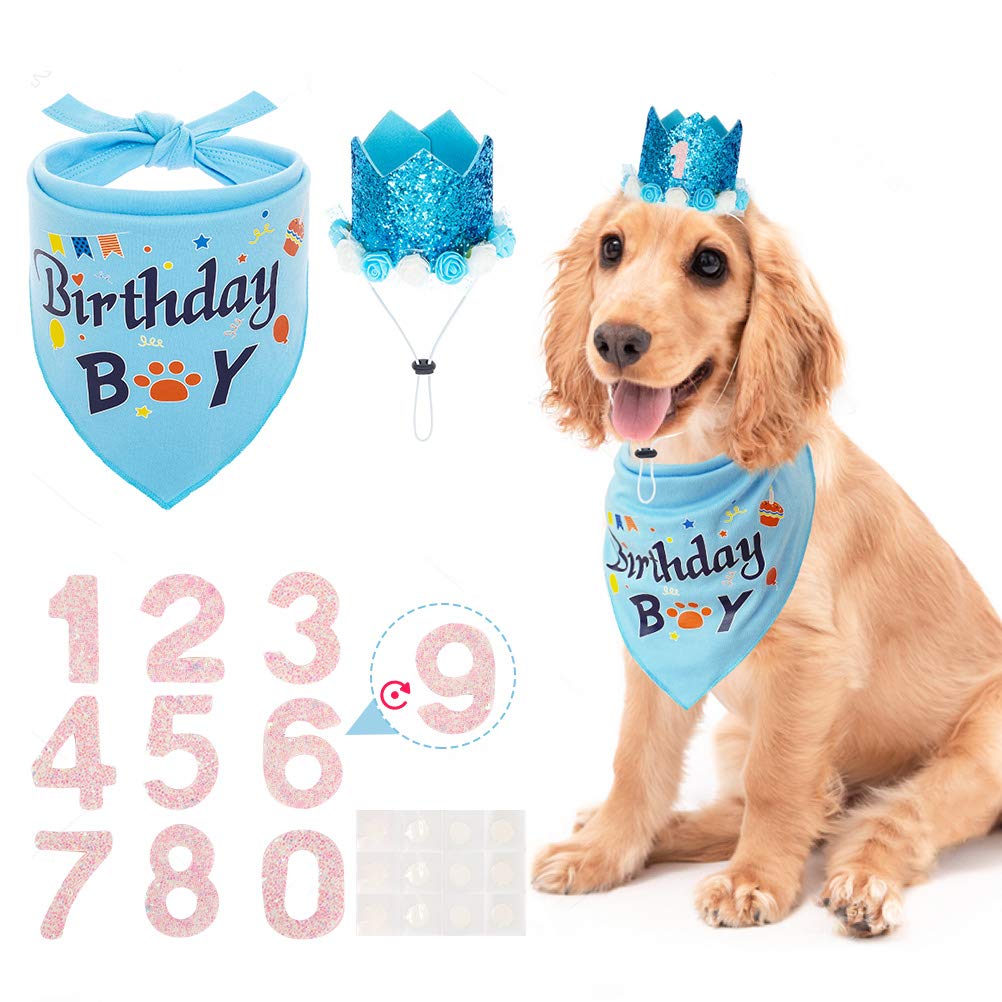 Buy KOOLTAIL Dog Birthday Bandana & Hat Set Adjustable Hat with