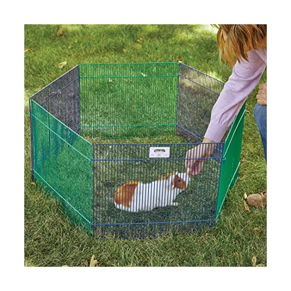 MidWest-Homes-for-Pets-Small-Animal-Pen Small Animal Playpen