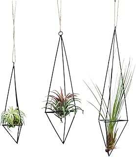 Panonw 3 Packs Iron Hanging Air Plant Holder, Modern Metal Geometric Planter with Hanging Rope, Tillandsia Hanger Display ...