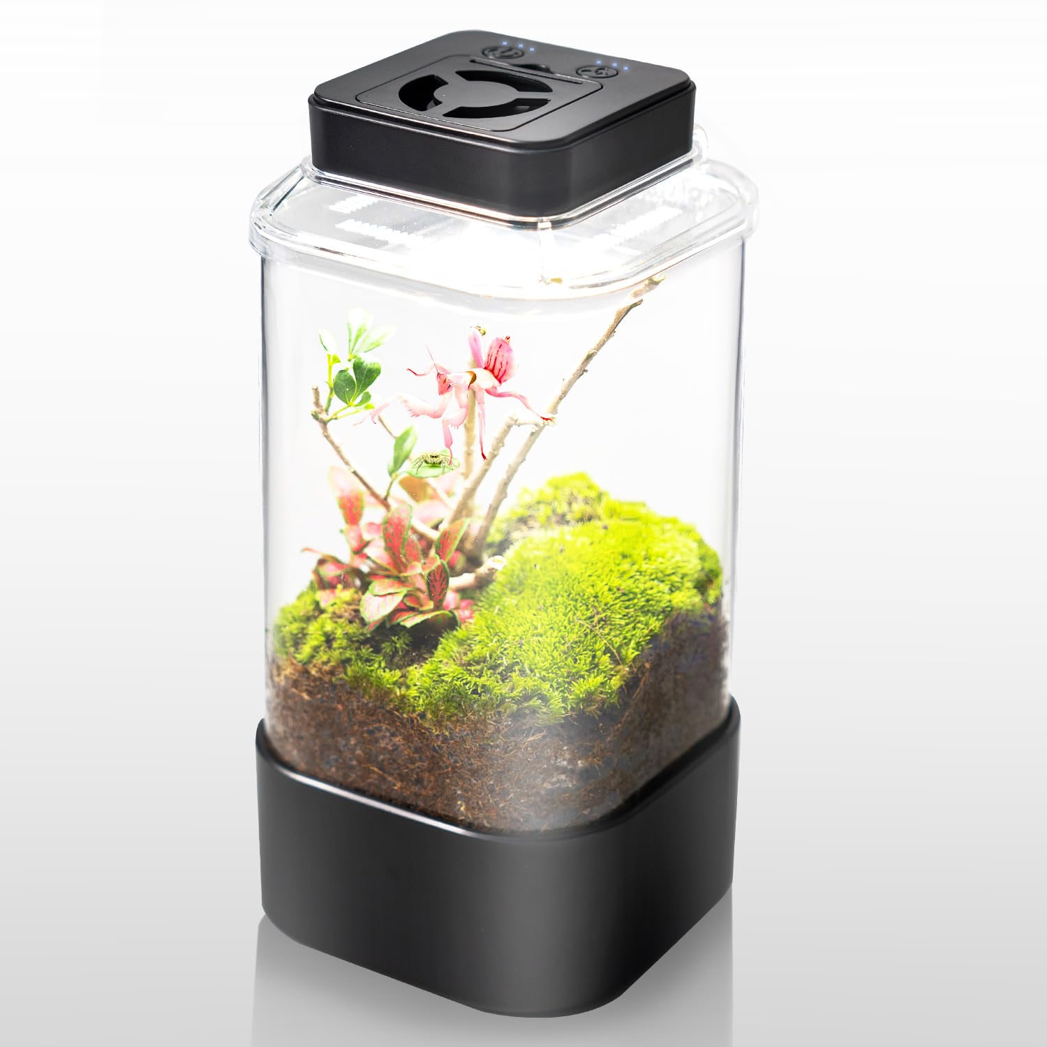 Lighting for Snail Tanks: Ultimate Guide to Brighten Your Habitat