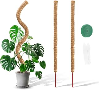 NEAGLORY Coir Pole 2Psc 24 Inch, Bendable Plant Poles, Plant Stakes to Train Plants to Grow Upwards, Better for Plant Growth, Potted Plants Support and Trellis for Climbing Plants (2Psc 24In)