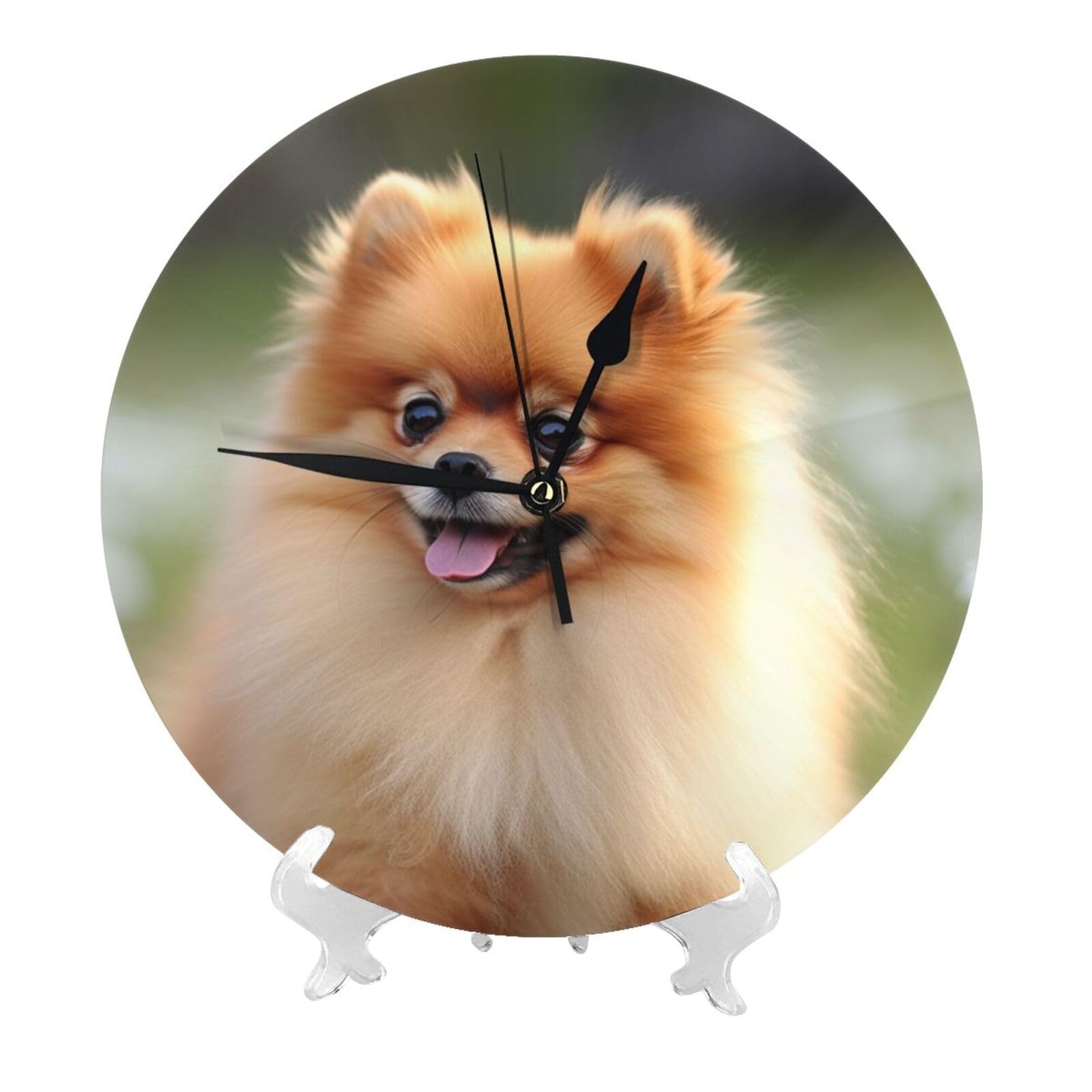 Pomeranian Dog Wall Clock 10 Inch Silent Non-Ticking Modern Clocks Battery Operated - Decorative Wall Clocks for Bedroom Living Room Kitchen Office Wall Decor Gift Idea