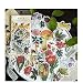 Aolvo Ephemera Pack (60 PCS), Tropical Plants Style Note Stickers Easy Self-Adhesive Flowers Roses Garden Wildflowers Butterflies for Scrapbook, Notebook, Journal, Card Making, Letters