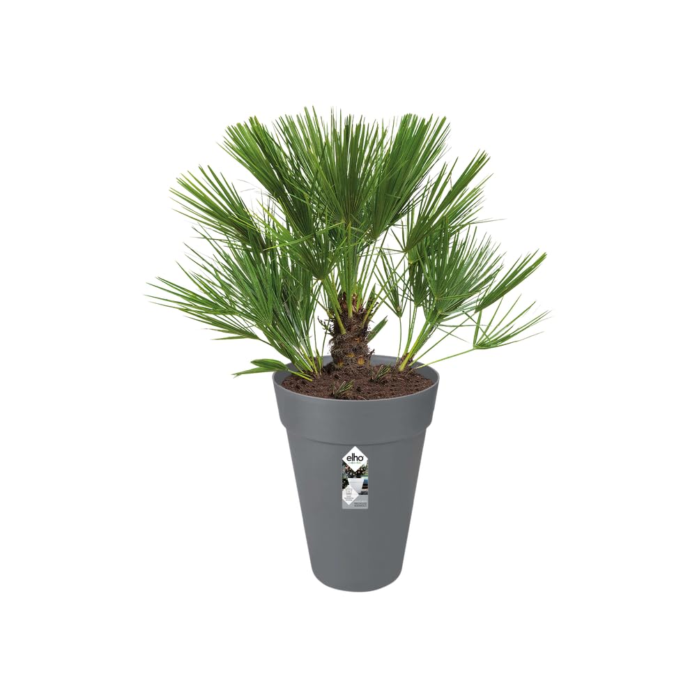 Elho loft Urban Rond Haut 42cm Pot de Fleurs - Anthracite