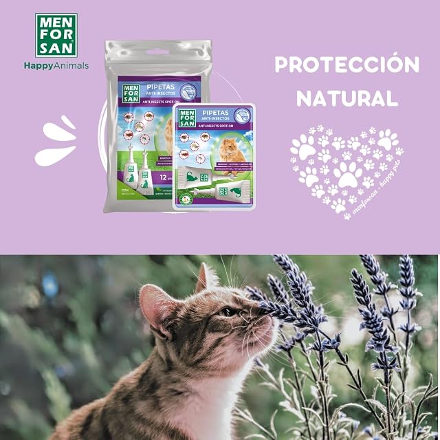Foto 7 de 7 de MENFORSAN Pack con 12 Pipetas Anti-Insectos para Gatos, con Margosa, Geraniol y Lavandino, Bolsa autocierre