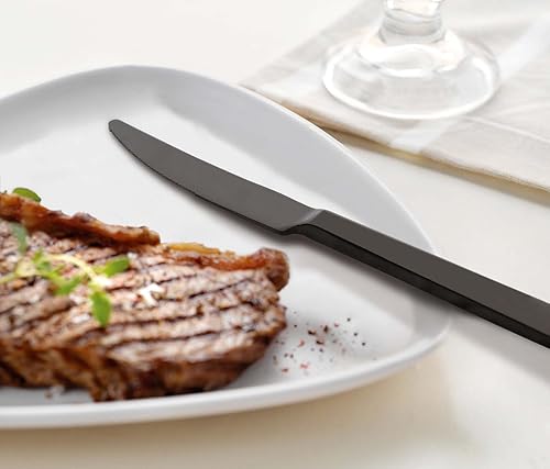 Miniatura 7 de Juego de cuchillos para carne, 6 piezas, acero inoxidable 180, resistentes, 9 pulgadas, servicio para 6 cubiertos, utensilios de mesa, aptos para