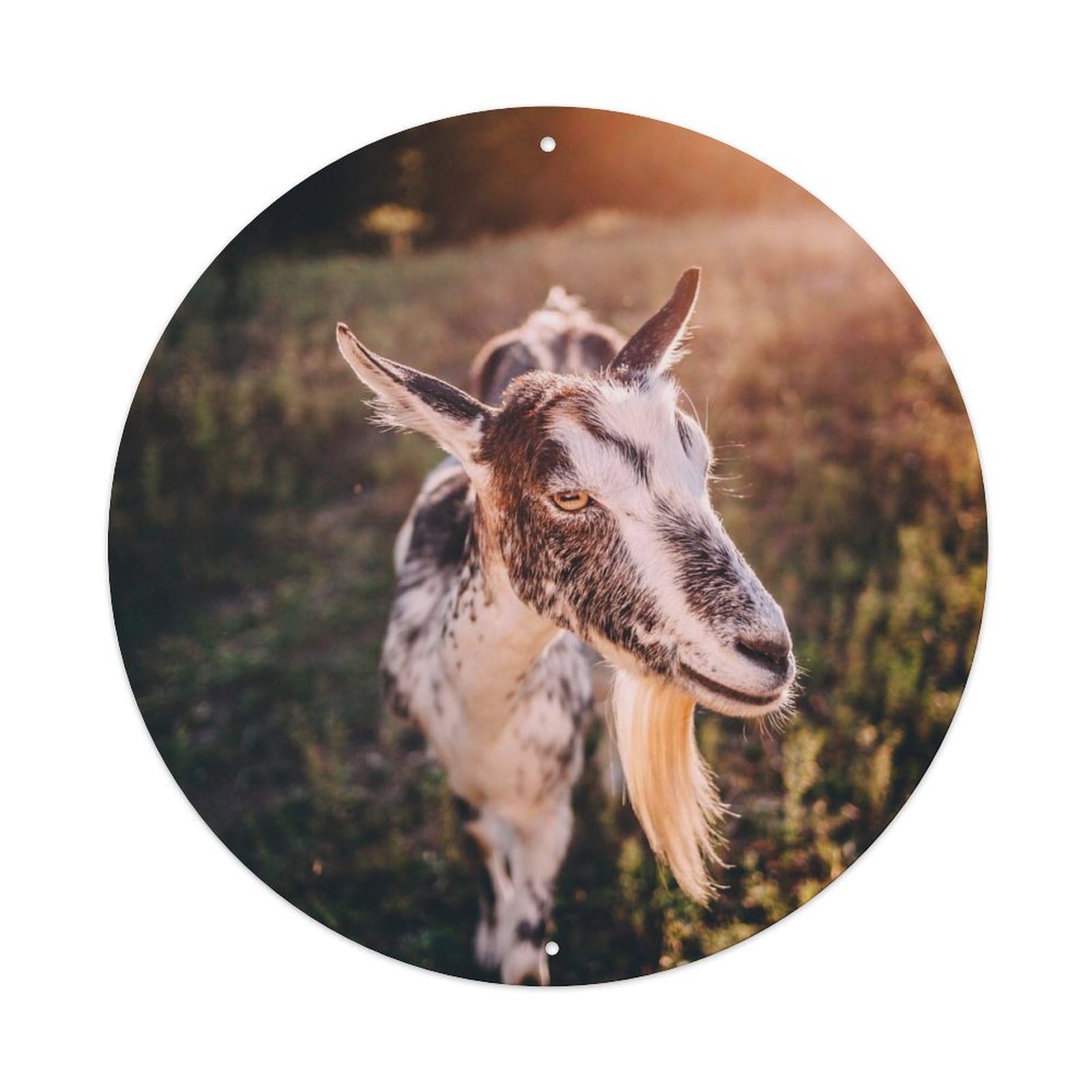 Animal Cute Goat Vintage Metal Tin Sign Plaque Wall Decor for Cafe, Club, Garden Round Metal Poster 8x8Inch