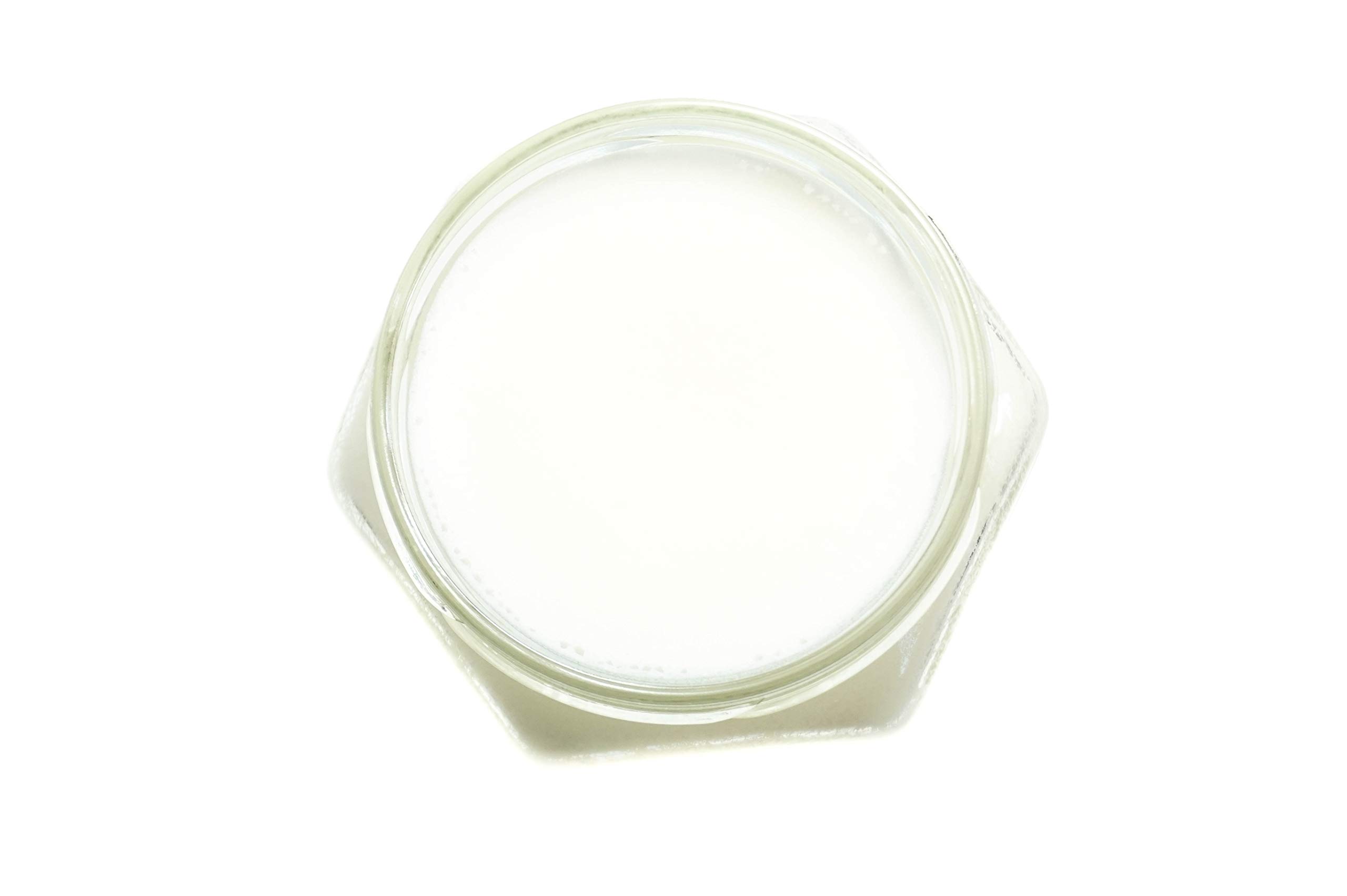 weisse Bio Sheabutter 480g Glas desodoriert aus biologischem Anbau kba