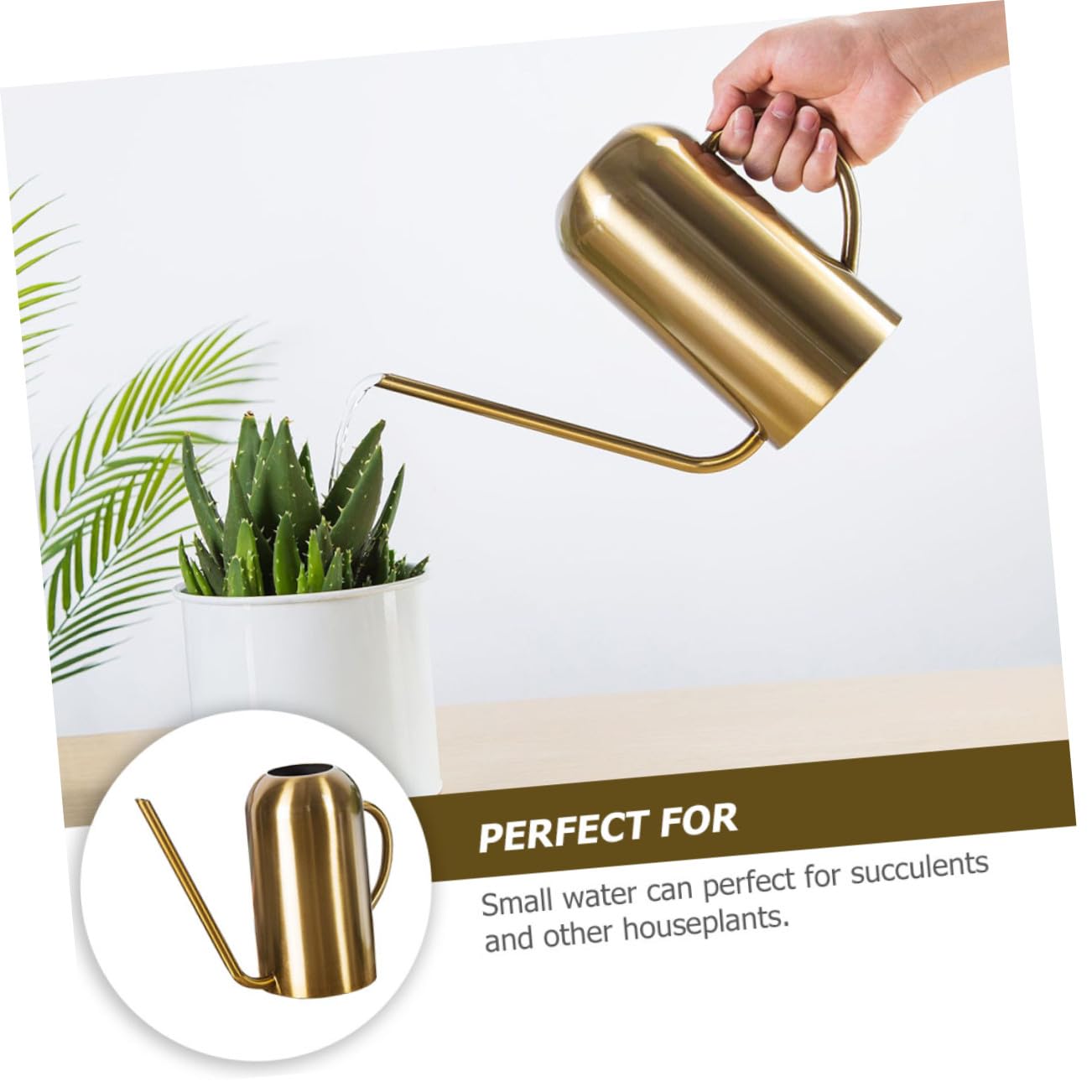 ARTIBETTER Regadera de Acero Inoxidable con Dorado Capacidad para Riego de Suculentas y Plantas de Interior y Exterior Diseño Resistente y Práctico